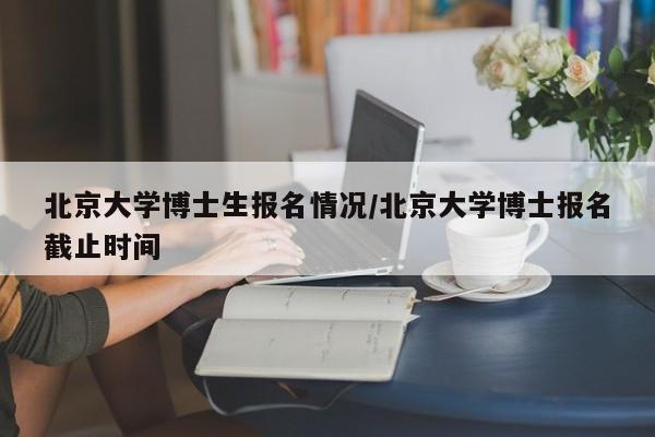 北京大学博士生报名情况/北京大学博士报名截止时间